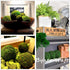 BYHER Moss Balls, 18 PCS Decorative Balls for Centerpiece Bowls - 6pcs 3.2" Natural Dried + 12pcs 2" Green Filler