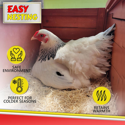 My Favorite Chicken Nesting Box Pads for Chickens - Accessories for Hens, Chicken Coops and Laying Eggs - Square Liners
