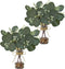 2 Pack Artificial Eucalyptus Stems in Glass Vases, 11" Fake Plants with