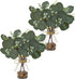 2 Pack Artificial Eucalyptus Stems in Glass Vases, 11" Fake Plants with