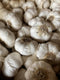 Garlic Seed Bulbs, Large Cloves, Cold Hardy, Bold Flavor (5)