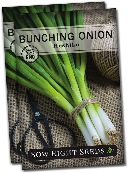 Sow Right Seeds - Heshiko Japanese Bunching Green Onion Seeds for Planting