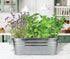 Set BUZZY Seeds Margarita and Mojito Windowsill Mini Garden Grow Kit, Herb Starter with Mint, Lime Basil and Lavender