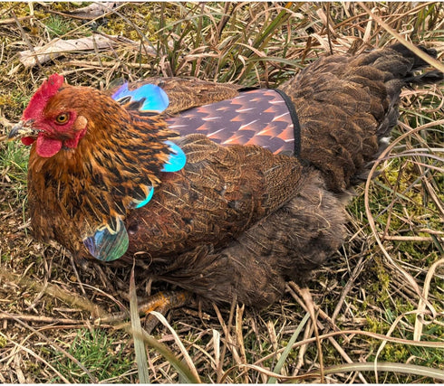 HOUGXD Chicken Saddles for Hens with Detachable Wings, Adjustable Hen Apron Back Protector for Feather Recovery