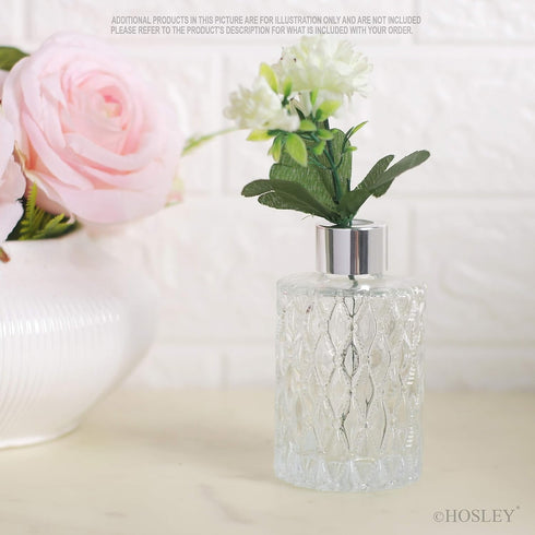 Hosley Set of 4 Mid Century Modern Glass Diffuser Bottles, 4 Inch High, Ideal for Essential Oils & DIY Crafts, O3 Silver
