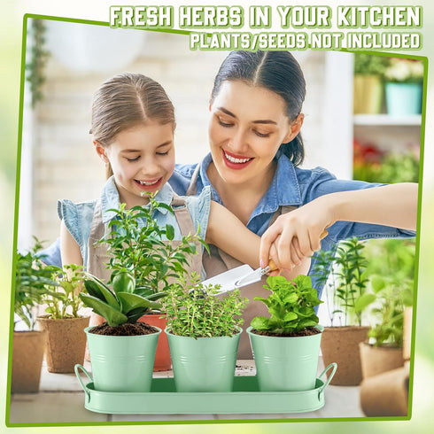 2 Sets Hicarer Herb Planter with Tray Metal Herb Garden Planter with Drainage Farmhouse Windowsill Pots for Indoor