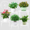 Plant Stands 5 Pack White Metal Plant Stand for Outdoor Indoor Plants