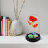 Childom Birthday Gifts for Women, Light Up Rose in Glass Dome, Colorful Red Flowers for Christmas, Anniversary, Birthday