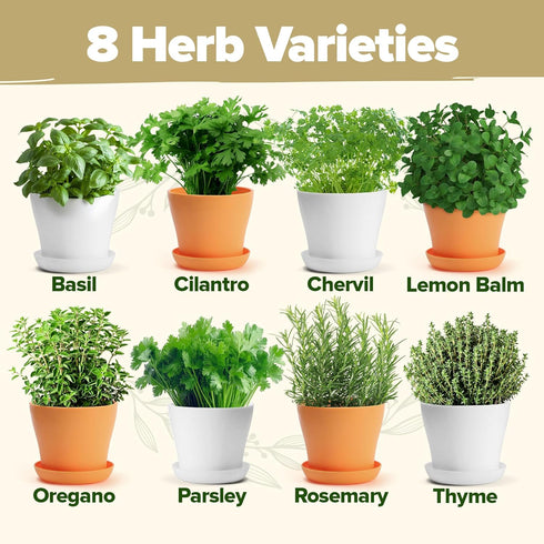 8 Set HOME GROWN Gift Herb Kit Herb Seeds with Basil, Cilantro, Mint & More, Complete Indoor Grow Kit for Kitchen