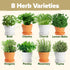 8 Set HOME GROWN Gift Herb Kit Herb Seeds with Basil, Cilantro, Mint & More, Complete Indoor Grow Kit for Kitchen