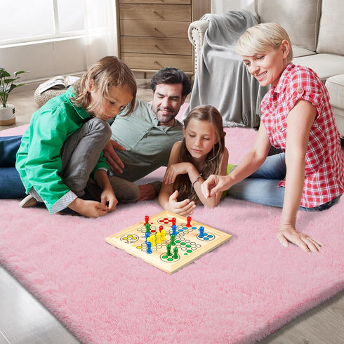 Room,5X8 Shag Area Rugs for Bedroom Living Ultra Soft Fluffy Area Rugs for Dorm, Indoor Carpet Nursery Rugs for Kids