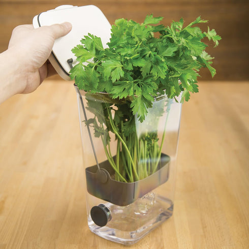 ProKeeper Herb Keeper – 1-Piece, White, with Removable Silicone Drain Plug, BPA-Free Plastic