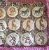 Designer Stencils Jungle Animals Cookie, Beige/Semi-Transparent, Fits 3" Circle