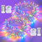 QITONG 2 Pack Battery Operated String Lights, Each 33ft 100 LED Multicolor