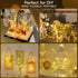 suddus 66ft 200 LED Outdoor String Lights, Warm White Christmas Fairy Light Battery Operated with Remote