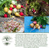 250+ Easter Egg Radish Seeds (Raphanus sativus) Non GMO & Heirloom Seeds by Islas Garden Seeds, Colorful Fast-Growing