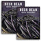 Royal Burgundy Bush Bean Seeds for Planting - Plant & Grow Stringless