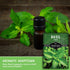 (1 Pack) Holy Basil Seed for Planting - Indian Sacred Herb Tulsi Seeds to Grow in Your Home Vegetable Garden - Non-GMO