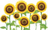 Tervis Plastic Sunflowers Tumbler with Wrap and Yellow Lid, 16oz, Clear