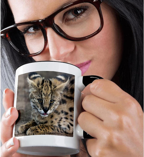 3dRose Two Tone Black Mug, "Serval Cat, Kapama Game Reserve, South Africa" - 11 oz, Multicolor