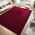 Burgundy Red Area Rugs for Bedroom Living Room, 4x6 Feet Indoor Memory Foam Rug, Modern Washable Shag Carpets