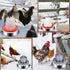 12 Inch 5 Chicken Water Heater Base, Gallons Poultry Drinker Heater Base with Thermostat and Power Cord, Automatic