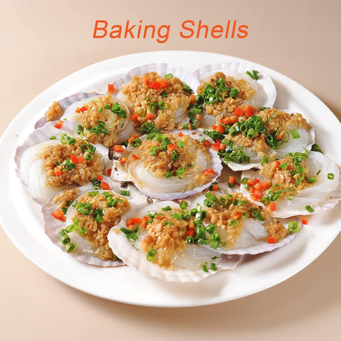 16PCS White Scallop Shells, 2.7"~3.5" for Crafts, Baking Shells, DIY Painting, Wedding Decoration