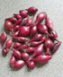 Bulb Sets, Sets, 100 Count, sets, bulb sets Onion Mixed Onion This is a random mix of White,Yellow and Red Onion Onion