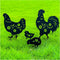 TIGGSY Chicken Metal Decorative Garden Stakes Chicken Gifts for Women/Men Chicken Lovers