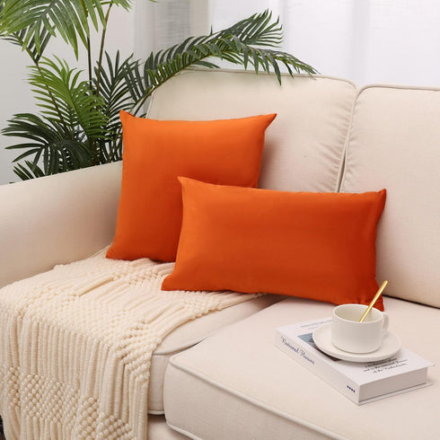MZPSO Pack of 2 Velvet Super Soft Solid Decorative Square Throw Pillow Covers, 18 x 18 Inch for Sofa Bedroom