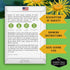 (1 Pack) Elecampane Seeds for Planting - Traditional Medicinal Herb (Inula helenium) with Tall Yellow Blooms