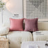 Demetex Rose Pink Pillow Covers 18x18, Set of 2 Super Soft Furry Throw Pillowcases for Couch Wedding Party Decor