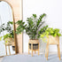Sunnychicc Stand(7.87 Inch,Black Plant Basket with Stand Indoor Planter Pot Holder Sturdy Jute Rope Modern Woven