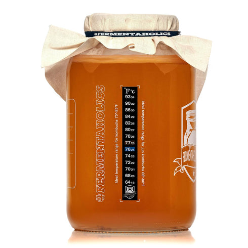 3 Pack Kombucha Fermentation Adhesive Strip Thermometer, Accurate Temperature Display in Celsius and Fahrenheit