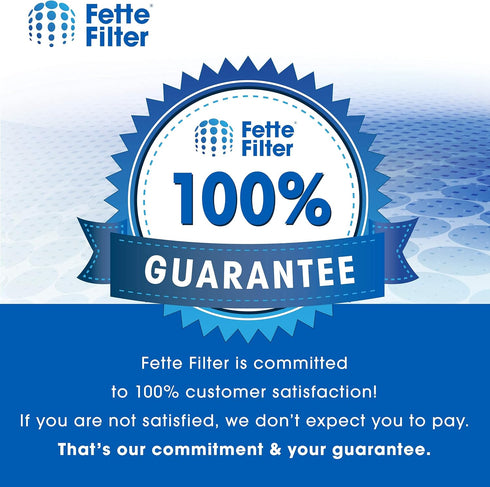 Fette Filter, Air Purifier Filter Compatible with Bissell My Air Personal Models, Pack of 1