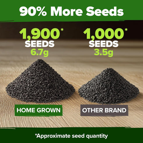 8 1600+ Bulb HOME GROWN Onion Variety Mix Heirloom Non-GMO Seeds for Planting, High Germination, Red, Yellow, White
