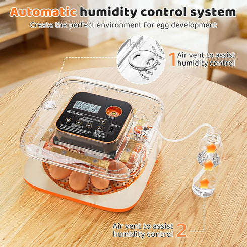 QVKHPCL 12 6 Incubators for Hatching Eggs Egg Digital Egg Incubator Precision Auto Temp Humidity Control Gear