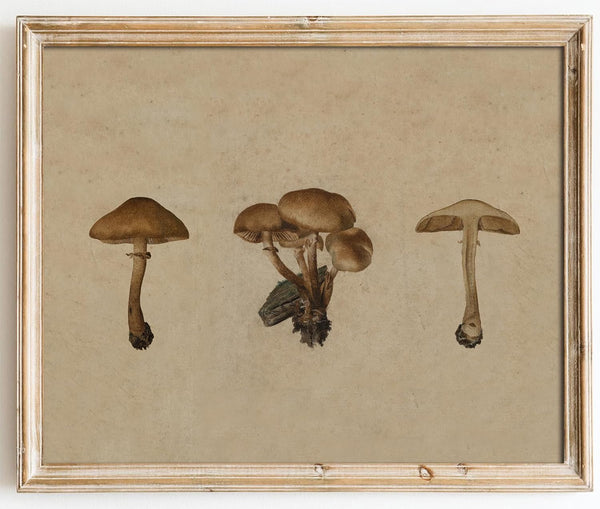 Kizbok Vintage Mushroom Wall Art Poster, Farmhouse Mushroom Wall Decor, Retro Botanical Paintings