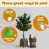 1 Orange Tree Fertilizer Liquid Plant Food for More Fruit, Better Flowering & Stronger Root Development, Gallon
