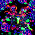 10000 pieces UV Neon Round Confetti - 5 Colors Neon Fluorescent Tissue Dot for Blacklight Party Supplies