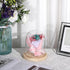 JUXYES Clear Glass Display Dome Cloche with Solid Wood Base, Transparent Dome Cloche Bell Terrarium Jar Glass Dustproof