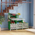 6 24 Closet UNKU Shoe Rack, Tier Shoe Storage Cabinet Pair Plastic Shoe Shelves Organizer for Bedroom Entryway Green