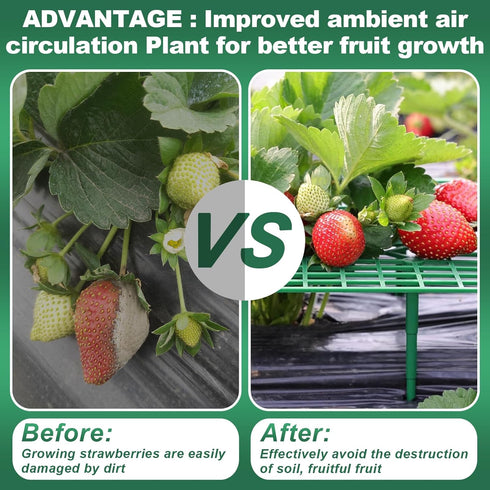 Qumenan 5 Pack 4 Strawberry Plant Support Square Strawberry Supports for Garden Green Holder Plastic Stand with Sturdy