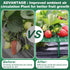 Qumenan 5 Pack 4 Strawberry Plant Support Square Strawberry Supports for Garden Green Holder Plastic Stand with Sturdy