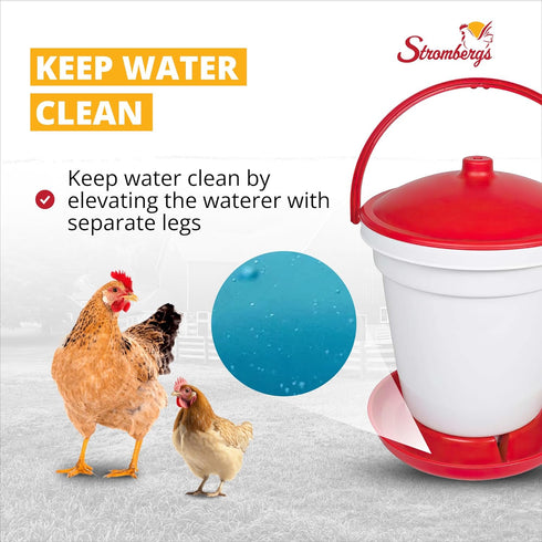 5 Stromberg's Gallon Bucket Waterer for Chicken Coops, Easy to Fill, Durable, Separate Legs for Elevation, Reduces