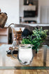 LEMONSODA Insulated Double Wall Milk Pitcher - Cute Cow Design Creamer, Tea, Milk, Coffee Pitcher (250 mL)
