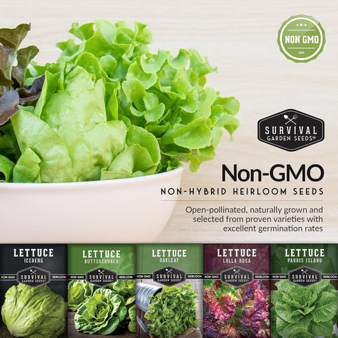 5-Variety Lettuce Seeds Collection Heirloom Romaine (Parris Island), Buttercrunch, Iceberg, Oakleaf, Lolla Rosa