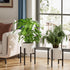 8-14 Inch (8-14inch 2PK) Urban Deco Adjustable Metal Plant Stand Outdoor & Indoor Planter With Stand Fits for Plant