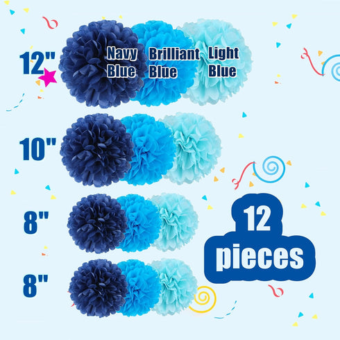 12 Pcs Tissue Pom Poms Kit, Tissue Paper Flowers for Birthday, Baby Shower, Graduation, Bachelorette Party Decoration