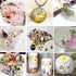 BIHRTC 100PCS Dried Pressed Flowers, Assorted Real Dried Leaves for Resin Scrapbooking DIY Candle Accessories